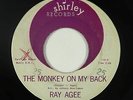 R&B Mod/Inst. 45 - Ray Agee - The Monkey On My Back - Shirley - mp3