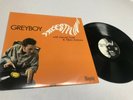 Greyboy Freestylin' Jazz Record lp original vinyl album