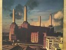PINK FLOYD: ANIMALS 12