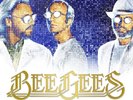 Bee Gees TIMELESS: ALL-TIME GREATEST HITS (TARGET) Best NEW COLORED VINYL 2 LP