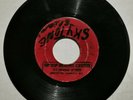 HIPPY BOYS - PICCADILLY HOP // NIGERIA [ BLANK ]  [ DEC197 ]