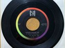 Beatles-VJ 581 45 RPM “Please Please Me/From Me To You”