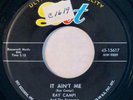 DOT 15617 Ray Campi Org RARE Rockabilly 45 Mint Minus It Ain't Me