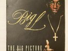 BIG L  The Big Picture 1974-1999 Vinyl LP