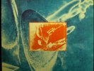 LP DIRE STRAITS - on every street, OIS