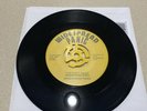 Widespread Panic Coconut Image 7” Vinyl Single Rare Sold Out Only 2000 Reissue