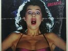 Accept ?– Breaker 1981 USA LP