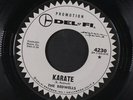 BEDWELLS: karate DEL-FI 7