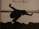 Eddy Vedder into the wild