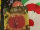 TERRY BROOKS AND STRANGE Rock The Wolrld LIMITED COLOURED ORIGINAL AKARMA  2 LP
