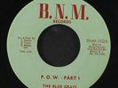BLUE GRASS: p.o.w. / part ii B.N.M. Records 7