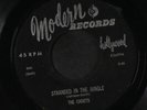 CADETS: stranded in the jungle / i want you MODERN 7