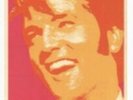 Elvis  The Trouble With Girls  - 14'' x 36'' USA Insert Poster