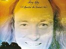 Riley, Terry-A Rainbow In Curved Air (1LP Coloured) (US IMPORT) VINYL NEW