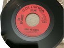 Rip Chords 1965 Columbia  45rpm Don't Be Scared b/w Bunny Bruce Johnston