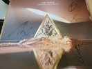 The Vamps - Cherry Blossom 12”  Rare Fully Signed x 4 Vinyl Autographed