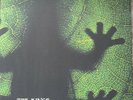 The Kings Of Frog Island ?– IV - Trans Green Vinyl LP Limited Edition Sealed