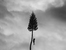 MANCHESTER ORCHESTRA - BLACK MILE TO THE SURFACE - VINYL