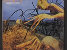 DIXIE DREGS: dregs of the earth ARISTA 12