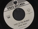 DRIVIN' WHEEL: livin' in bushes / back to love RAVEN 7