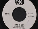 DANNY WINCHELL: flame of love / wasn't it a wonderful summer AGON 7