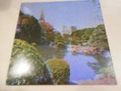 Cat System Corp. Lofi LP Vinyl Record Limited Edition Colored Blue Vinyl 1/800