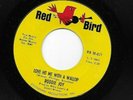 Northern Soul 45 RODDIE JOY Love Hit Me With A Wallop / Come Back Baby RED BIRD
