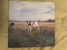 Pink Floyd The Screaming Abdabs The Dark Side Of The Moo Vinyl Lp Not TMOQ,TAKRL