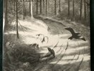 1burzum hvis lyset tar oss vinyl