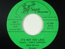 Funk 45 - Cheryl Johnson - It's Not Too Late - The Bug Singers - mp3