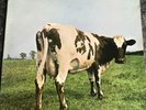 PINK FLOYD   ATOM HEART MOTHER   1970 UK 1ST PRESS PROG ROCK VINYL LP EX/VG