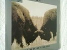 U2 - The Best Of 1990 - 2000 - 2 X Vinyl, LP, Sealed, Sigillato, Gatefold