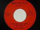 Funk 45 - Leroy Hawkes - If Your Mule Won't Move - Bretlan - mp3 - rare