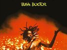 Tosh, Peter-Bush Doctor (1LP Coloured) (UK IMPORT) VINYL NEW