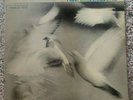 Donald Byrd Blue Note 4118 LP 