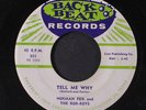 NORMAN FOX & ROB ROYS: tell me why / audry BACK BEAT  7