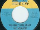 Bouquets - Blue Cat 115 - Welcome To My Heart - NYC Girl Group Soul 45 RPM