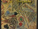 SANDROSE: sandrose Amber Soundroom 12