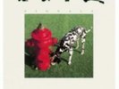 RUSH: SIGNALS (LP vinyl *BRAND NEW*.)