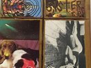 Sonic Youth: Sister