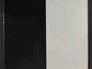 VARIOUS: vancouver complication Pinned Records 12