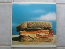 Sand-sand 1973 US Barnaby PROG GEM