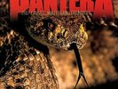 Pantera-The Great Southern Trendkill VINYL NEW