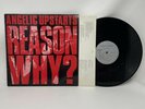 Angelic Upstarts - Reason Why Vinyl Record LP Original Pressing