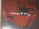 Smashing Pumpkins Adore 2x LP NEW 180g vinyl Remastered from the original tapes
