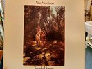 VAN MORRISON - 