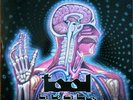 TOOL 2LP Lateralus (Red Vinyl) A Perfect Circle MINT / RARE / NEW