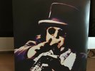 Captain Beefheart  “It Comes To You In A Plain Brown Wrapper” used VG+++ 2xlp