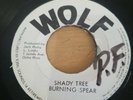 Reggae 45 - Burning Spear - Shady Tree - Resting  Place