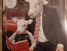 MOBY EVERYTHING WAS BEAUTIFUL AND NOTHING HURT VINYL 2LP GATEFOLD SET